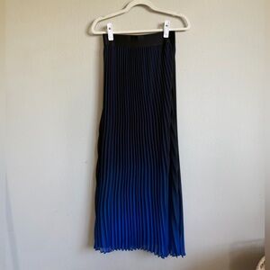 Express Black Pleated Skirt